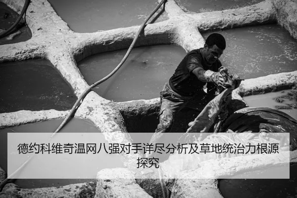 德约科维奇温网八强对手详尽分析及草地统治力根源探究